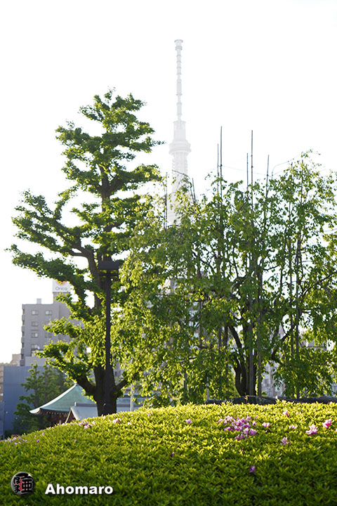 写真00