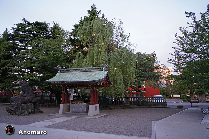 写真00