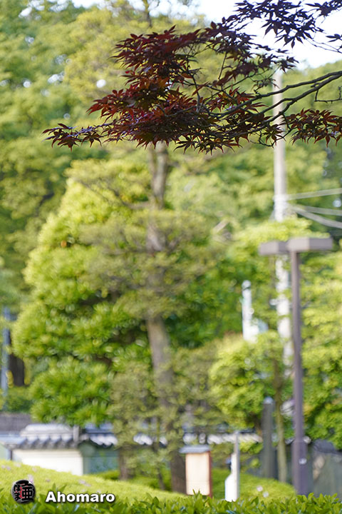 写真00