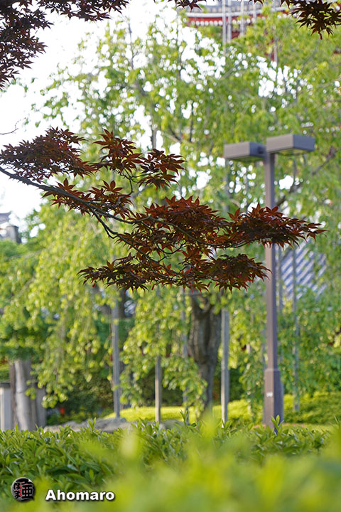 写真00