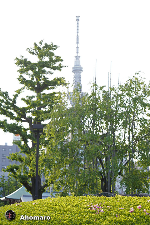写真00