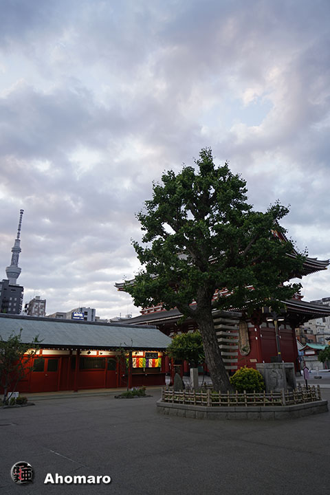 写真00