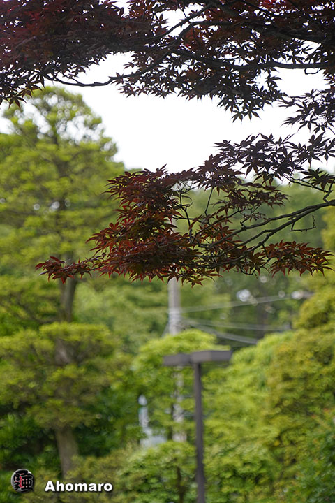 写真00
