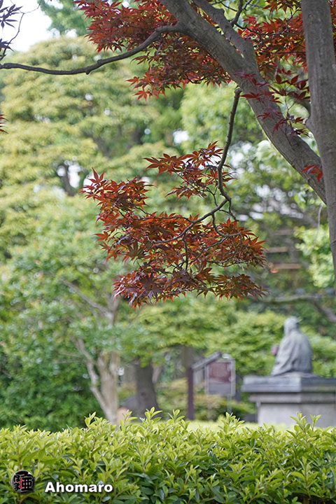 写真00