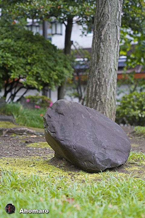 写真00