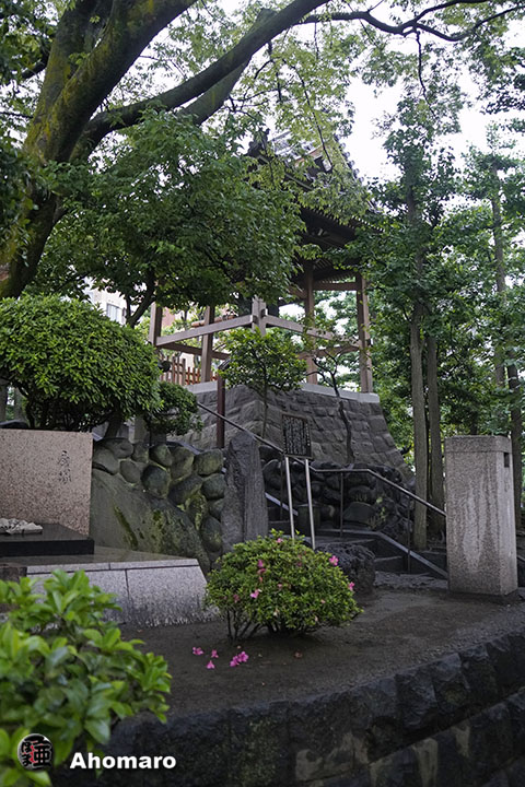 写真00