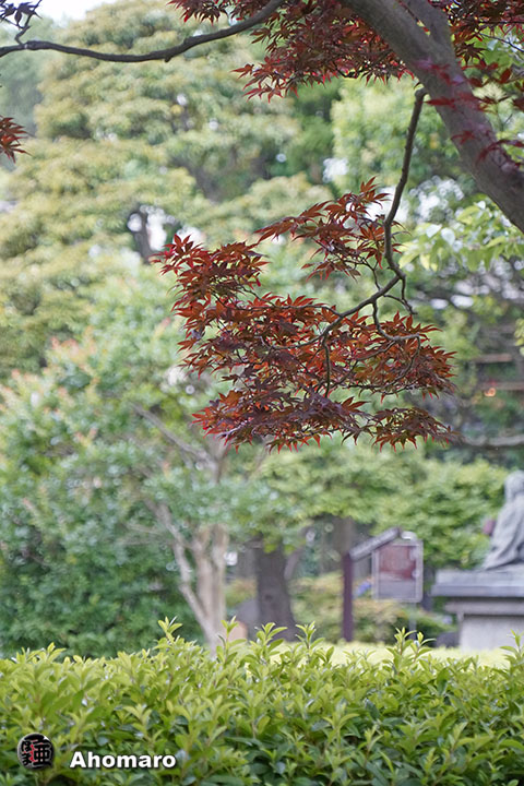 写真00