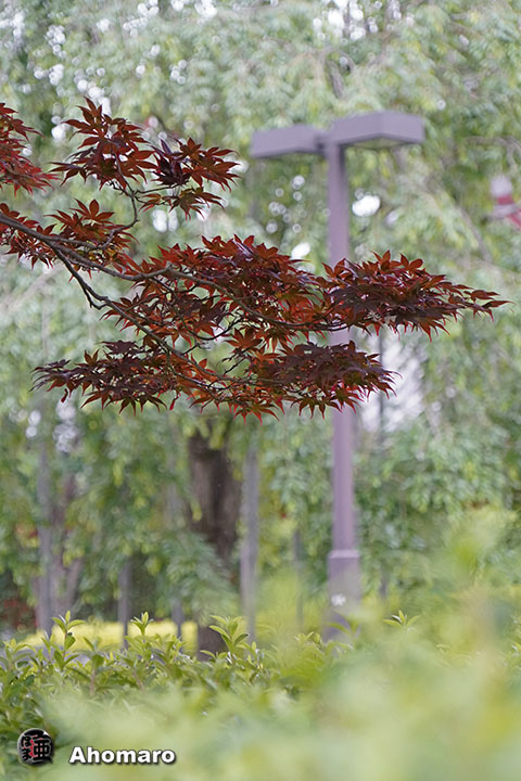 写真00