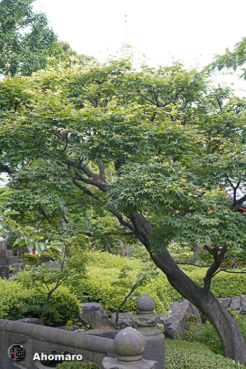 写真00