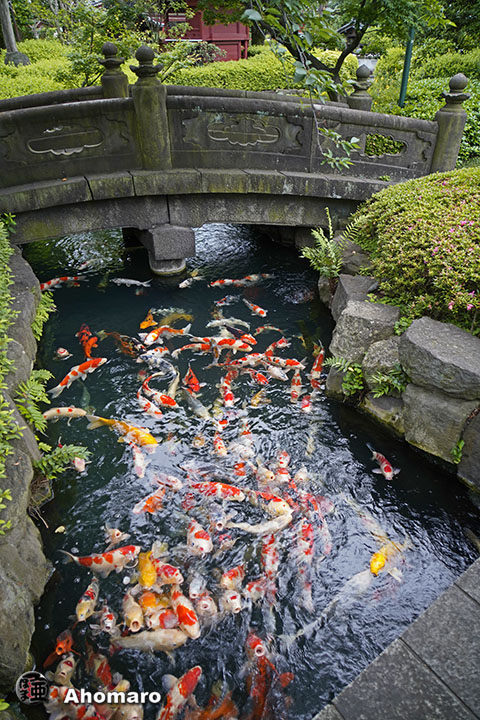 写真00