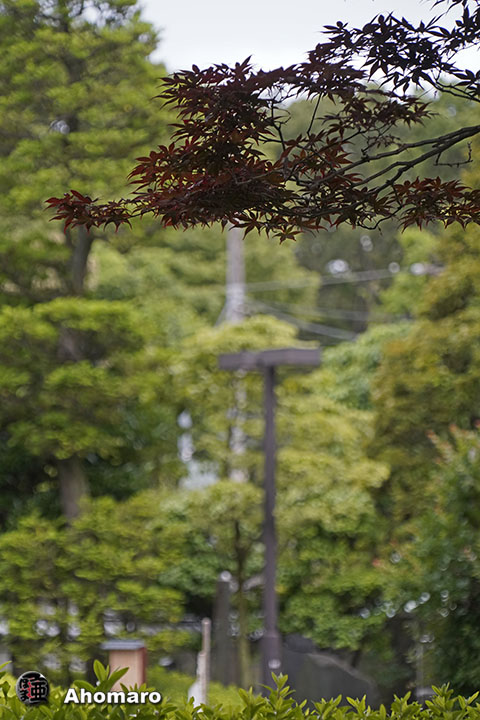 写真00