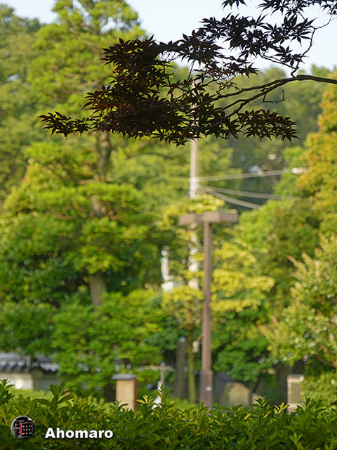 写真00