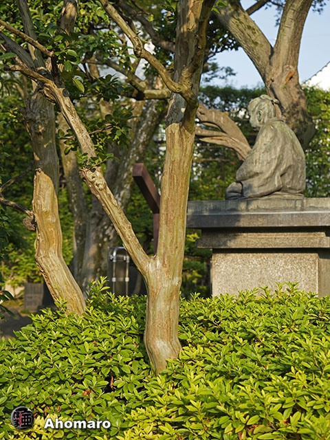 写真00