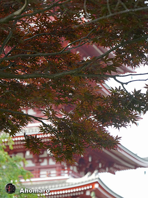 写真00