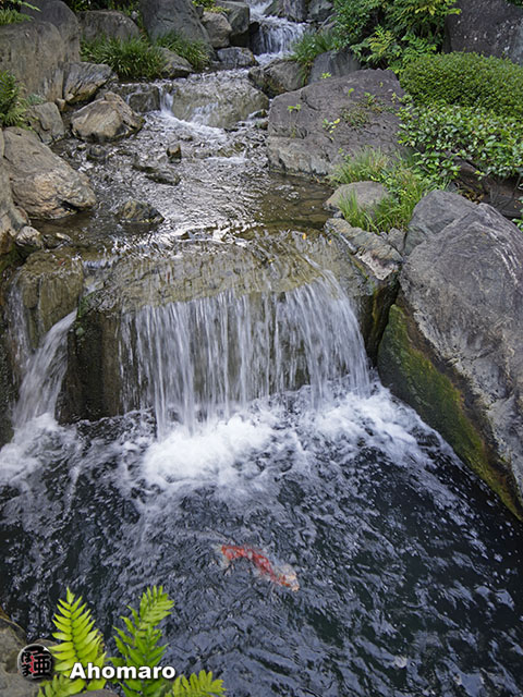 写真00