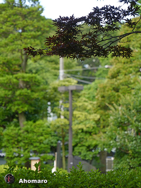 写真00