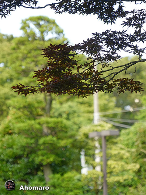 写真00