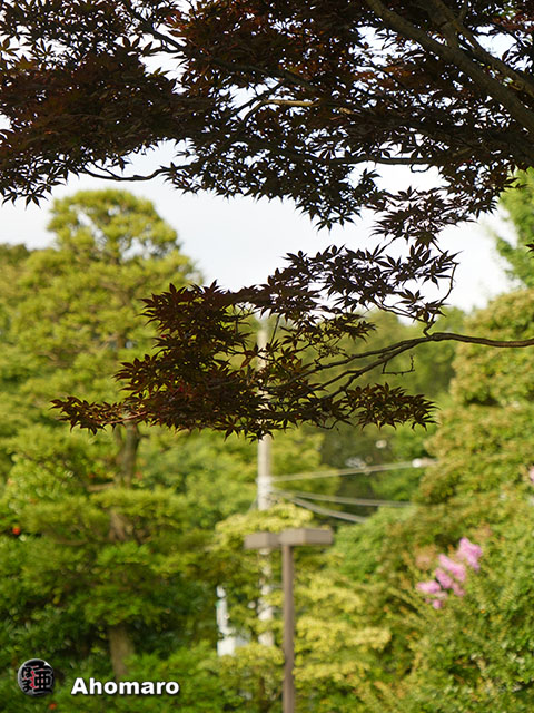 写真00