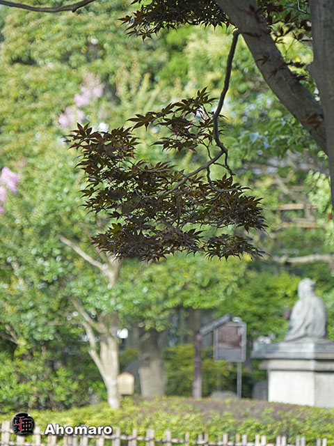 写真00