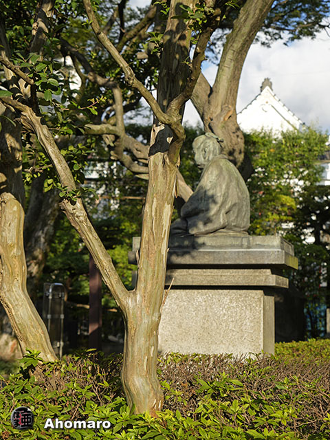 写真00