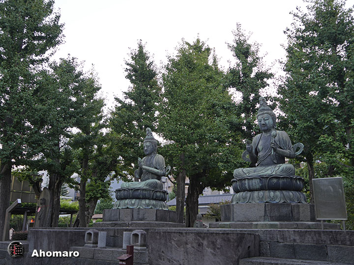 写真00