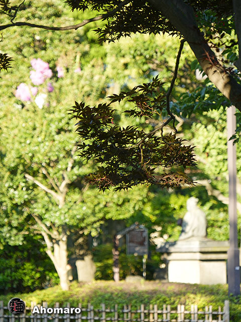 写真00