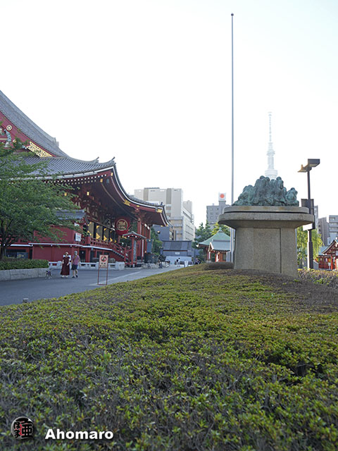 写真00