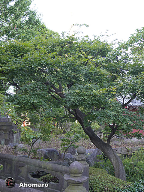 写真00