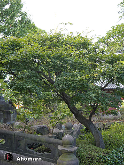 写真00