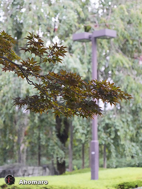 写真00