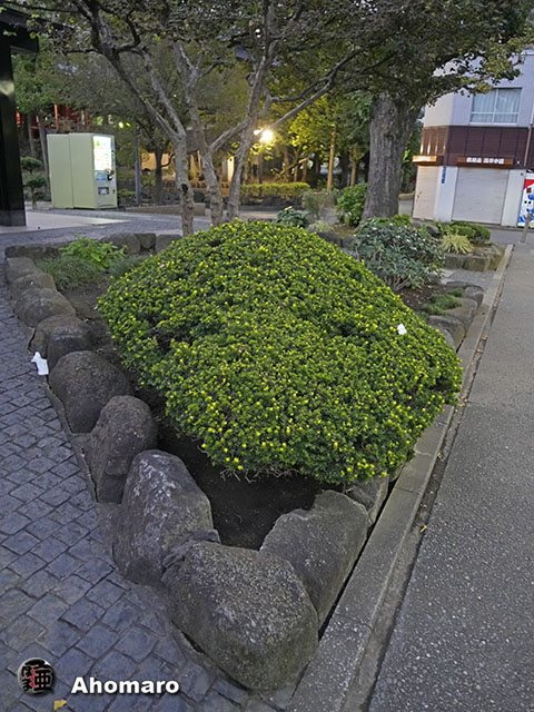 写真00