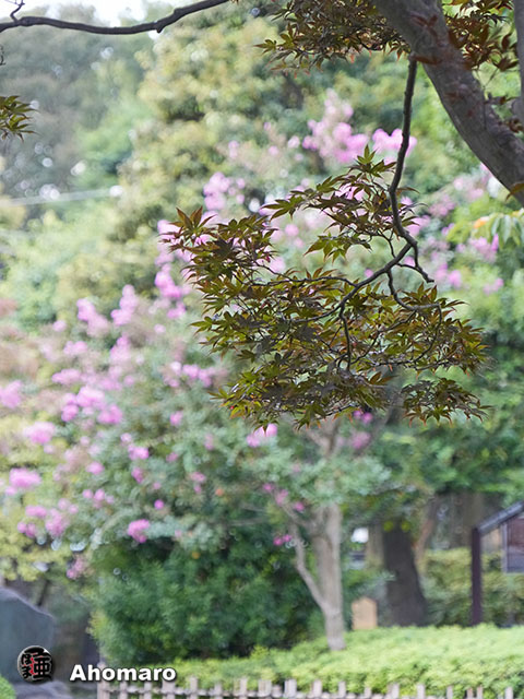 写真00
