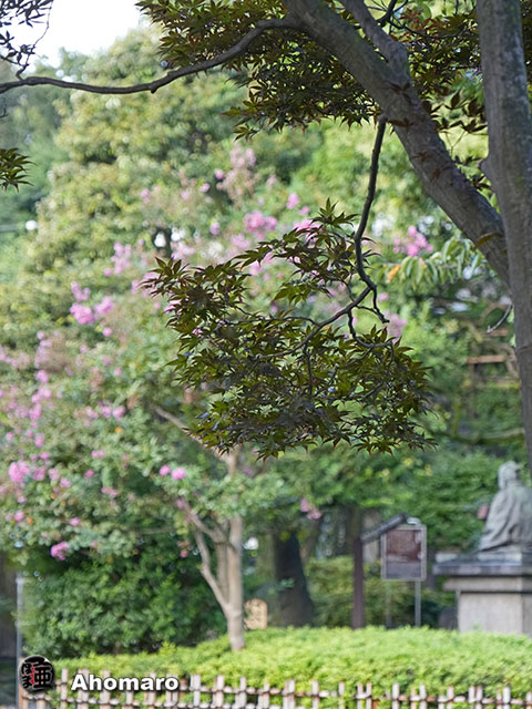 写真00