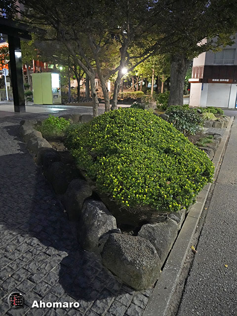 写真00