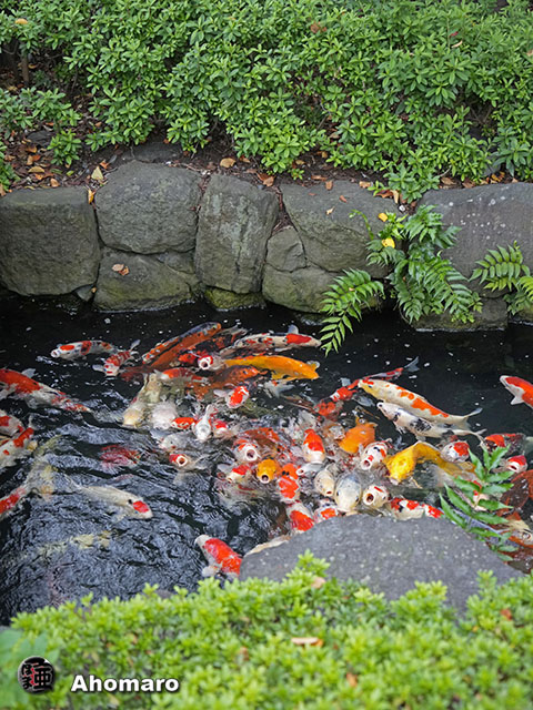 写真00