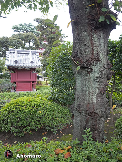 写真00