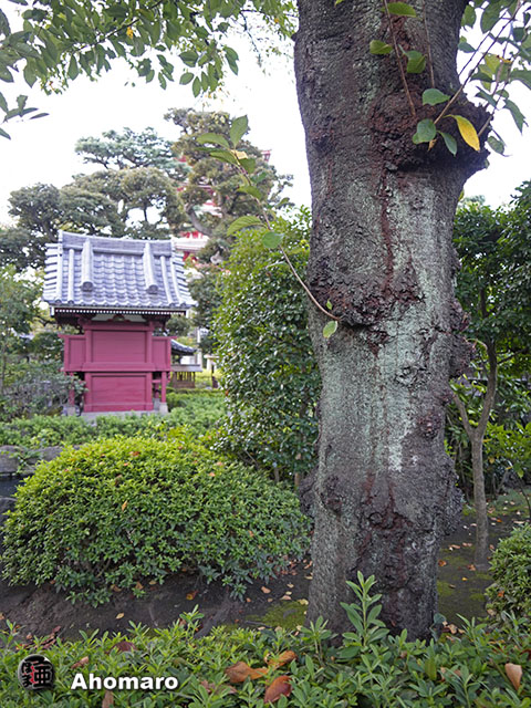 写真00