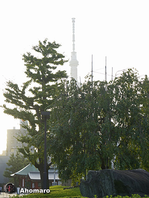 写真00