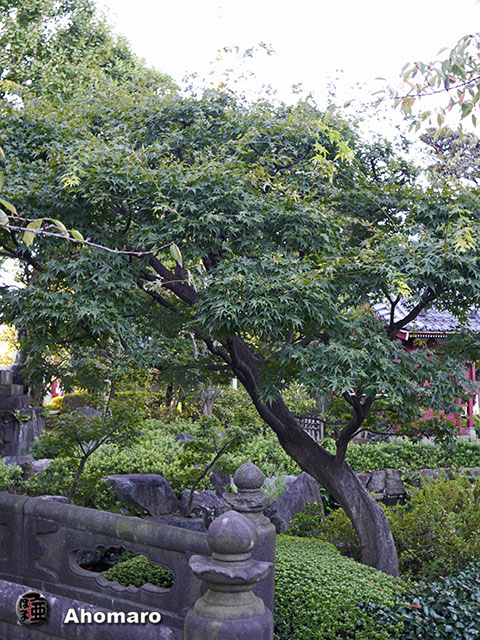 写真00