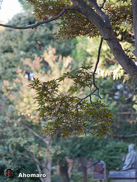 写真00