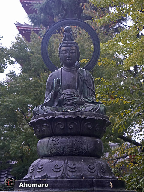 写真00