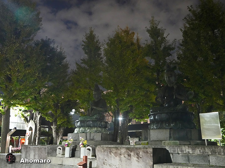 写真00