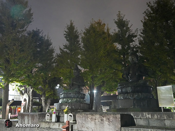 写真00