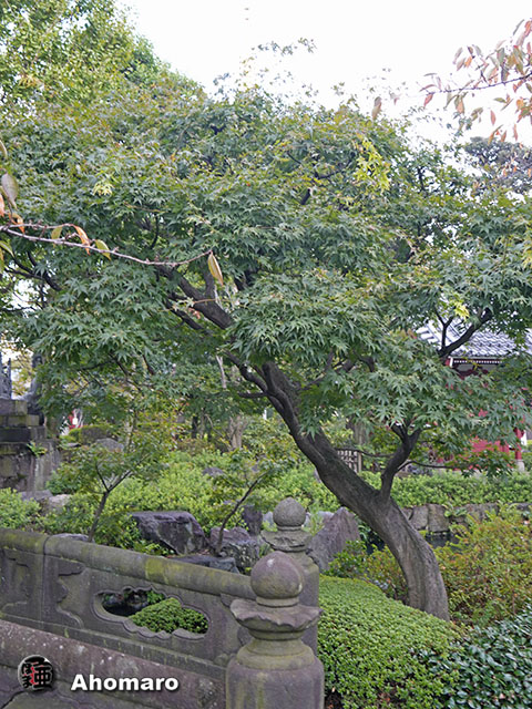 写真00