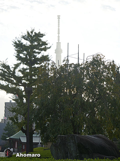 写真00