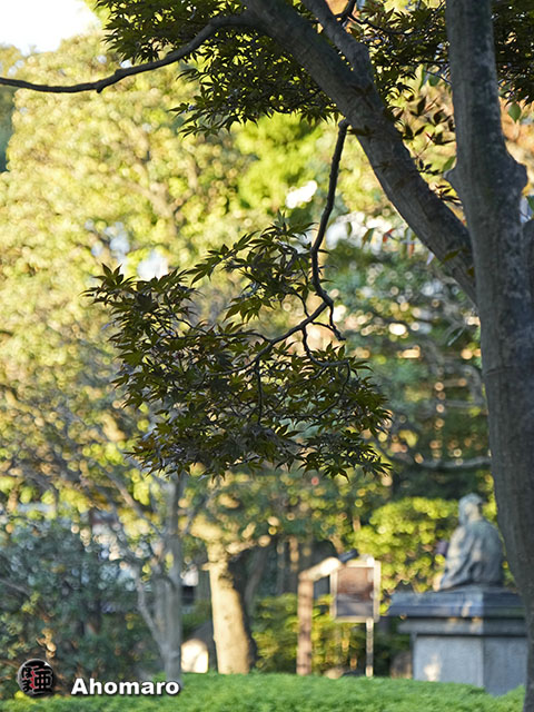 写真00