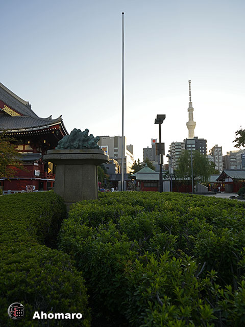 写真00