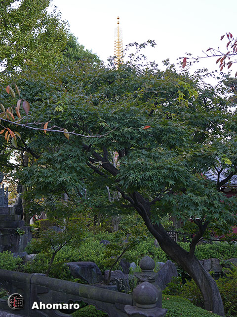 写真00