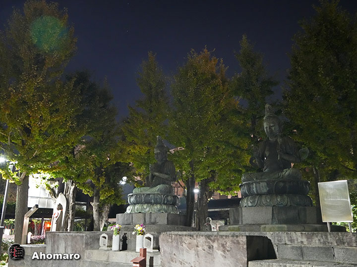 写真00