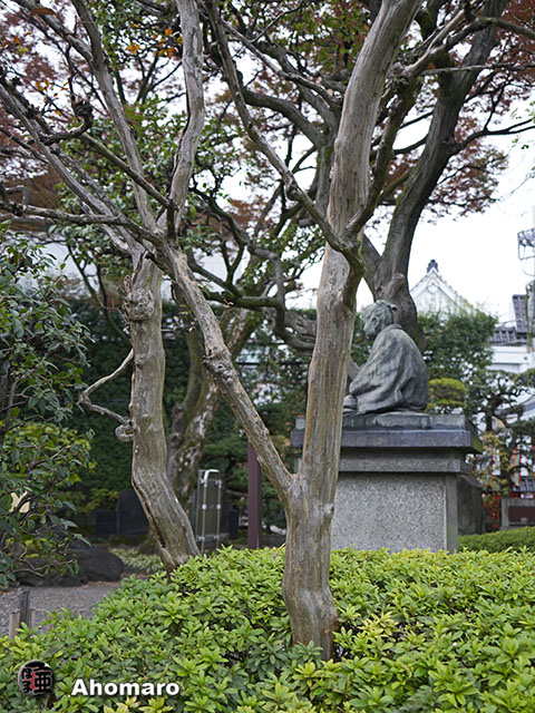 写真00